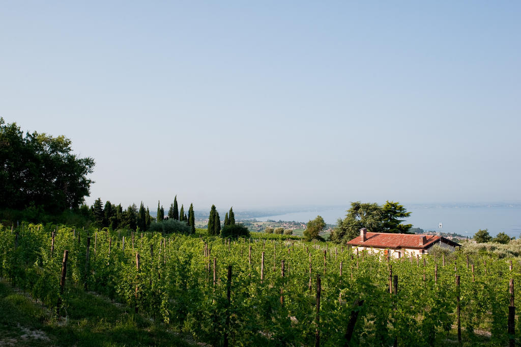 Alloggio per agriturismo Quercia Belvedere Relais *