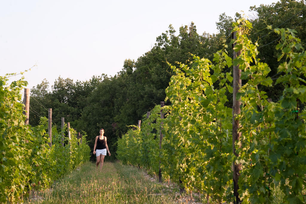 Agroturismo Quercia Belvedere Relais Bardolino
