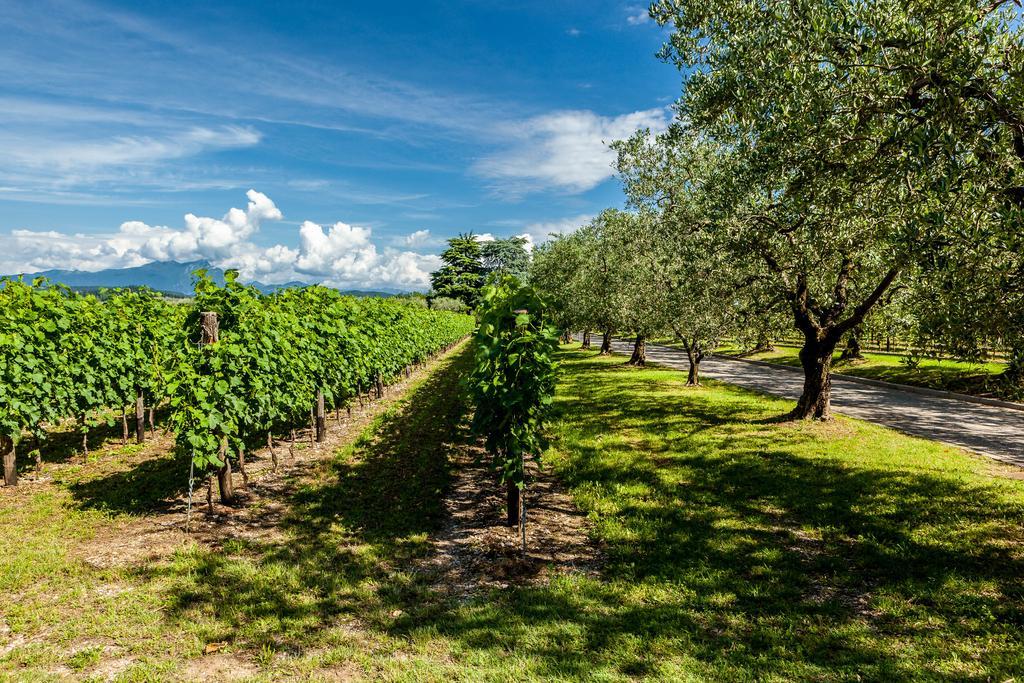 Quercia Belvedere Relais