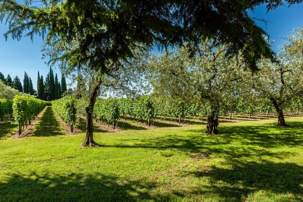 Quercia Belvedere Relais Bardolino
