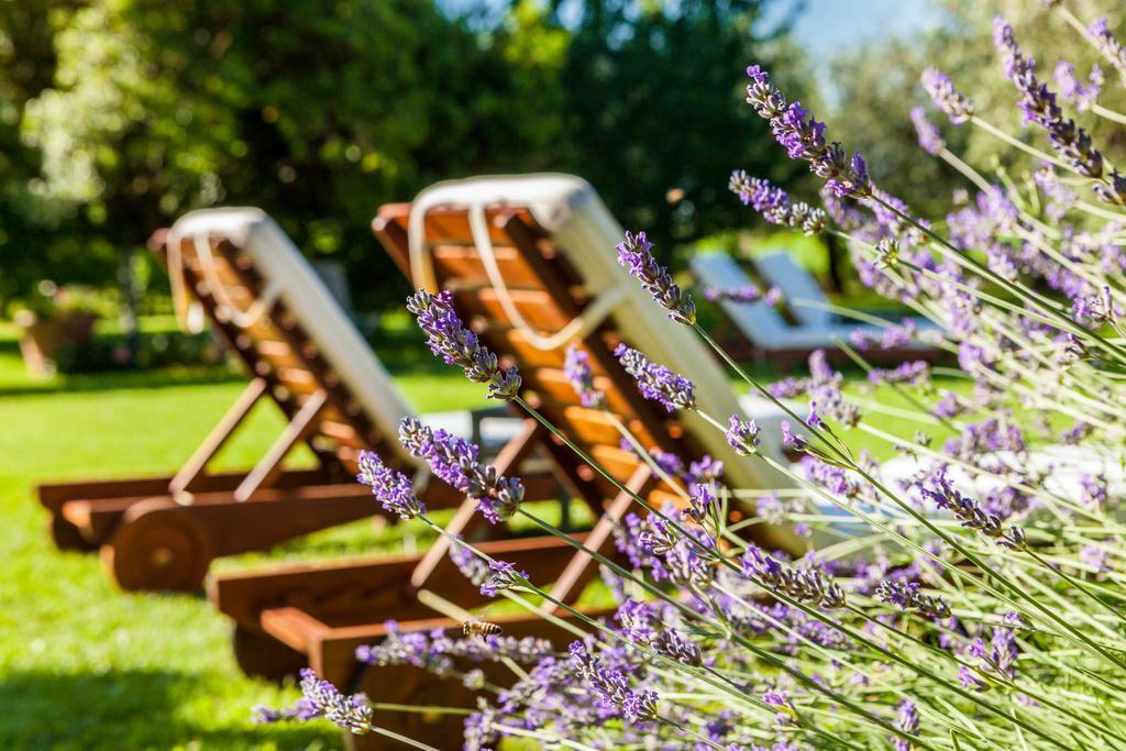Alojamento de Turismo Rural Quercia Belvedere Relais