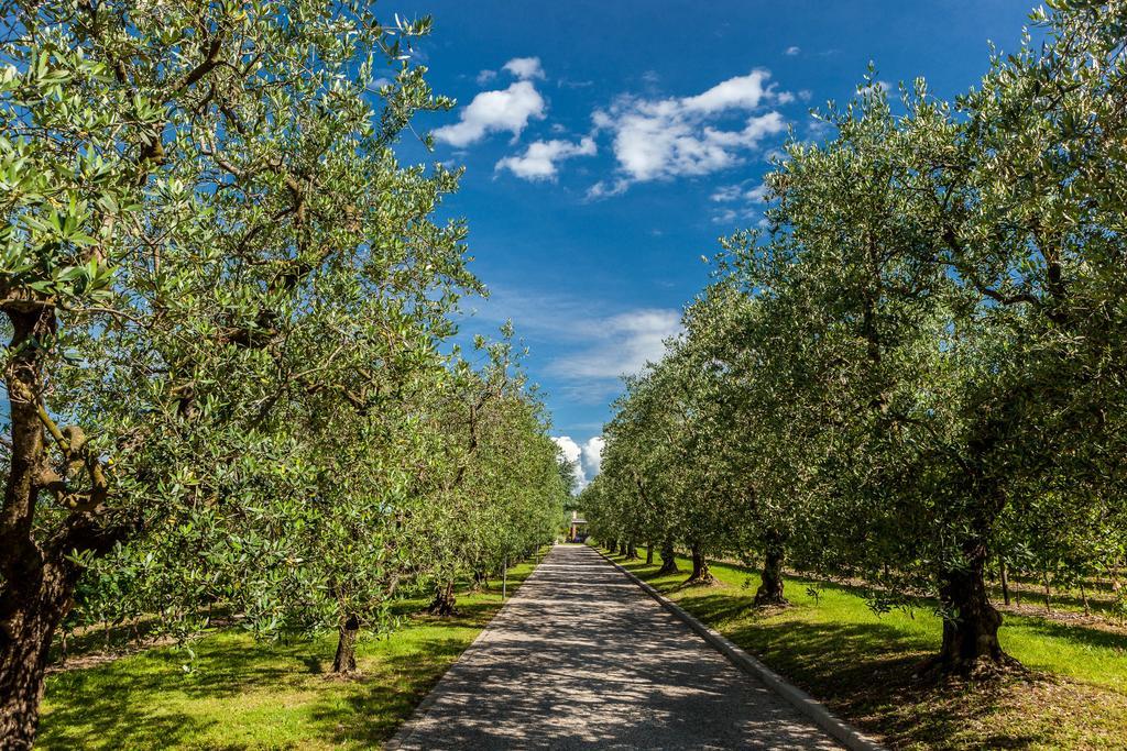 Quercia Belvedere Relais Alojamento de Turismo Rural *